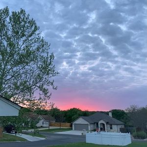 Meet your Posher, Bella